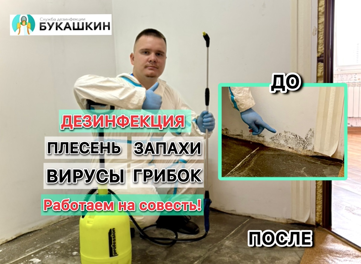 Галерея
